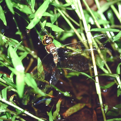 �}���^�������}��