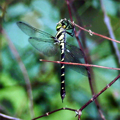 �~���������}��