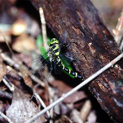 �~���������}