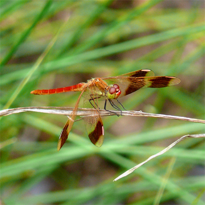 �~���}�A�J�l��