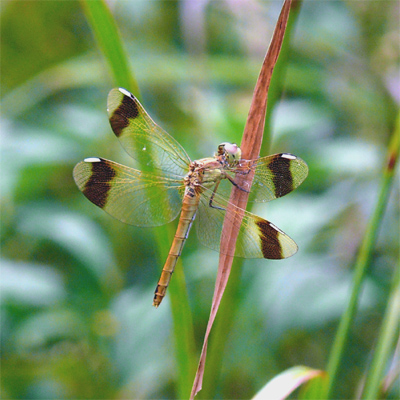 �~���}�A�J�l��