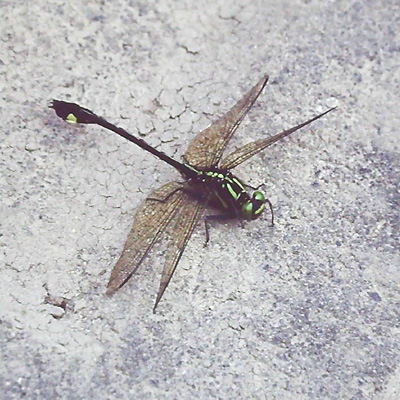 �~���}�T�i�G