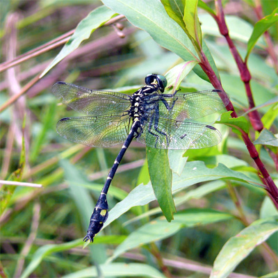 �i�S���T�i�G��