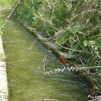 �j�z���J���g���{