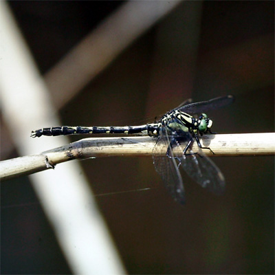 �I�O�}�T�i�G��