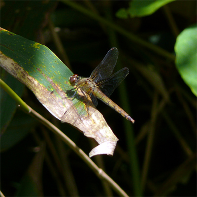 �I�i�K�A�J�l��