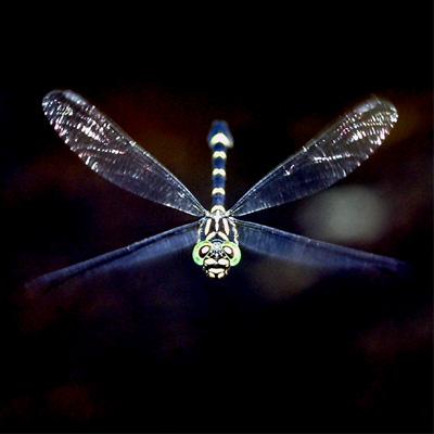 �I�i�K�T�i�G��