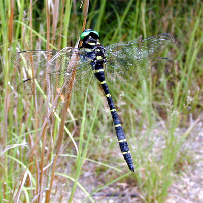 �I�j�����}��