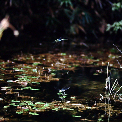 �I�I�M�������}