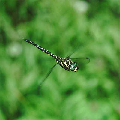 �T���T�����}��