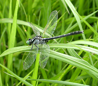 �^�x�T�i�G��