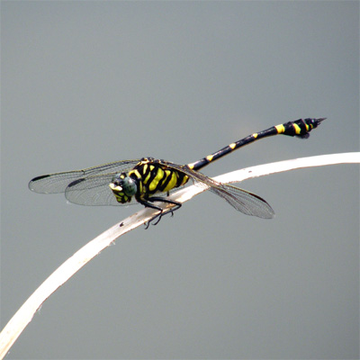 �^�C�����E�`�������}��