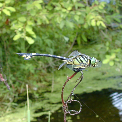 �E�`�������}��