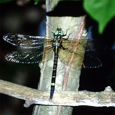 ���u�����}��