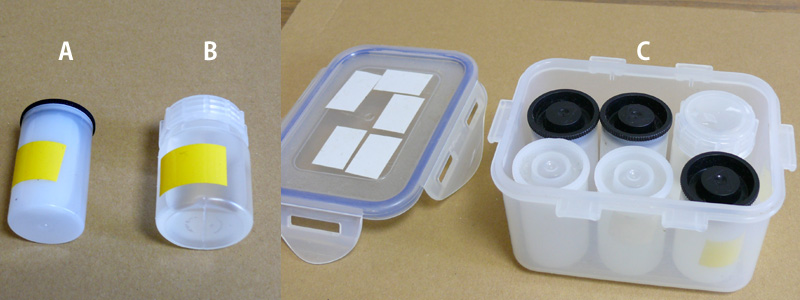 �A�J�l���̗̍��e��