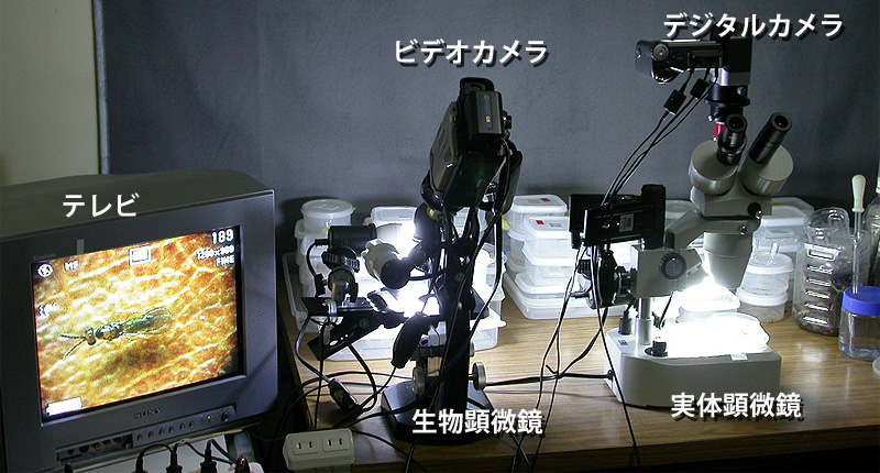 �g���{�����B�e���鑕�u