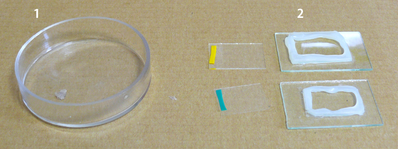 �g���{�̗���c���̎B�e�Ɏg���p��