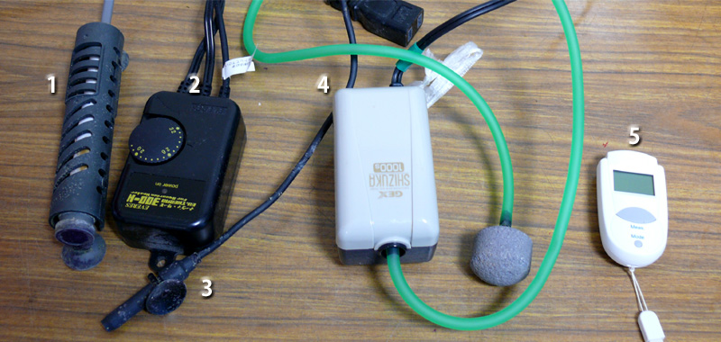 �u���C���V�������v�z���Ɏg�����