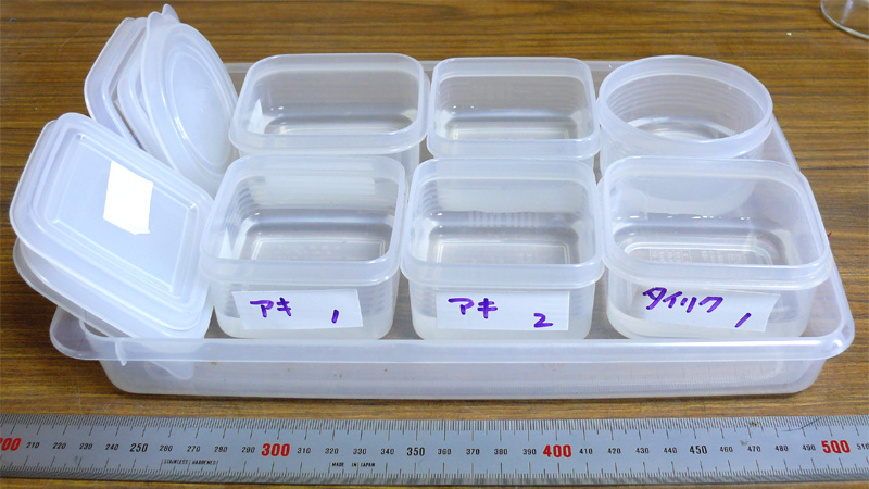 ����c�������炷��e��